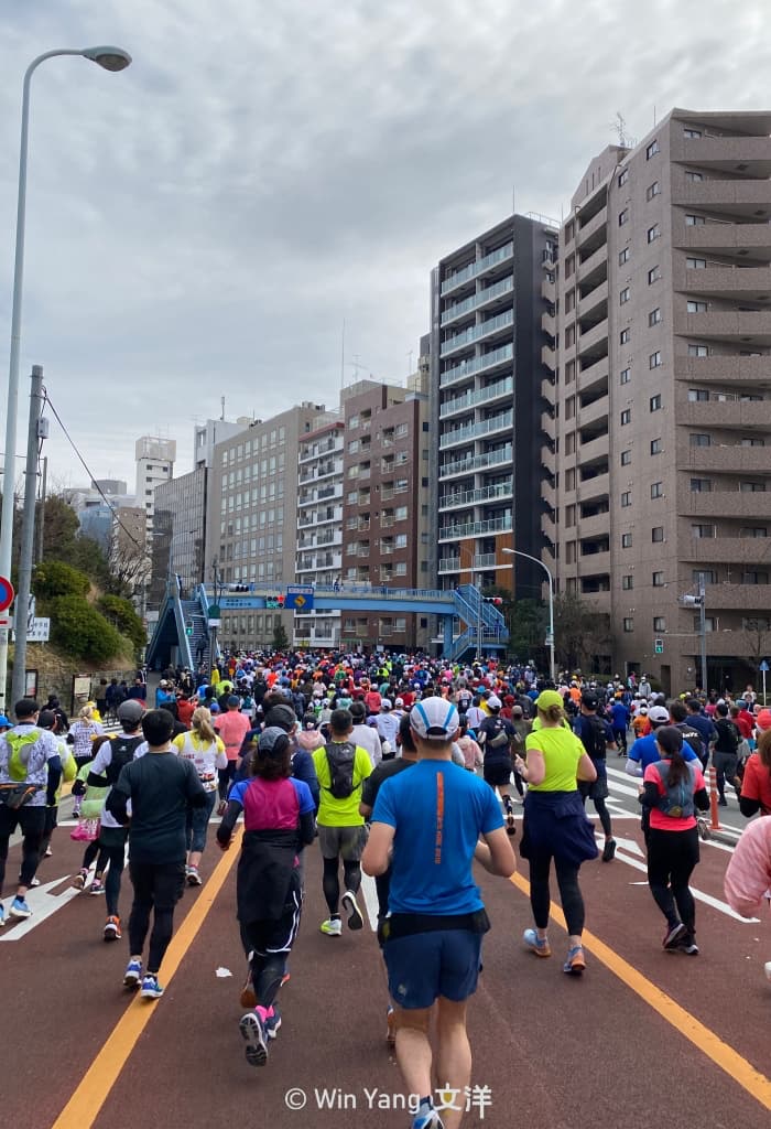 東京馬拉松13 - 2024 文洋獎盃