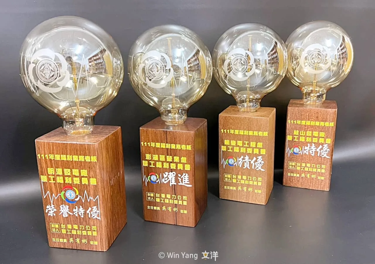 曾經站在電線桿上的材料搖身一變成為環保材質獎盃,台電木橫擔獎盃 - 2025 文洋獎盃 環保材質獎盃設計-台電木橫擔獎盃