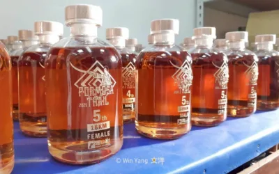 Histories - 2025 文洋獎盃 跑山獸2025福爾摩沙古道越野跑賽事,加入ESG與綠色山林理念帶你一起探索山林古道