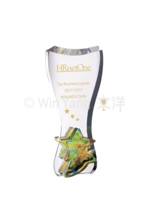 彩虹琉璃水晶獎盃