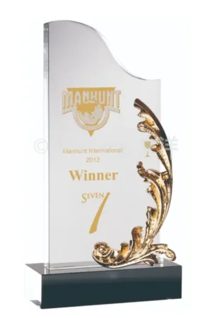 金屬羽毛造型水晶獎牌