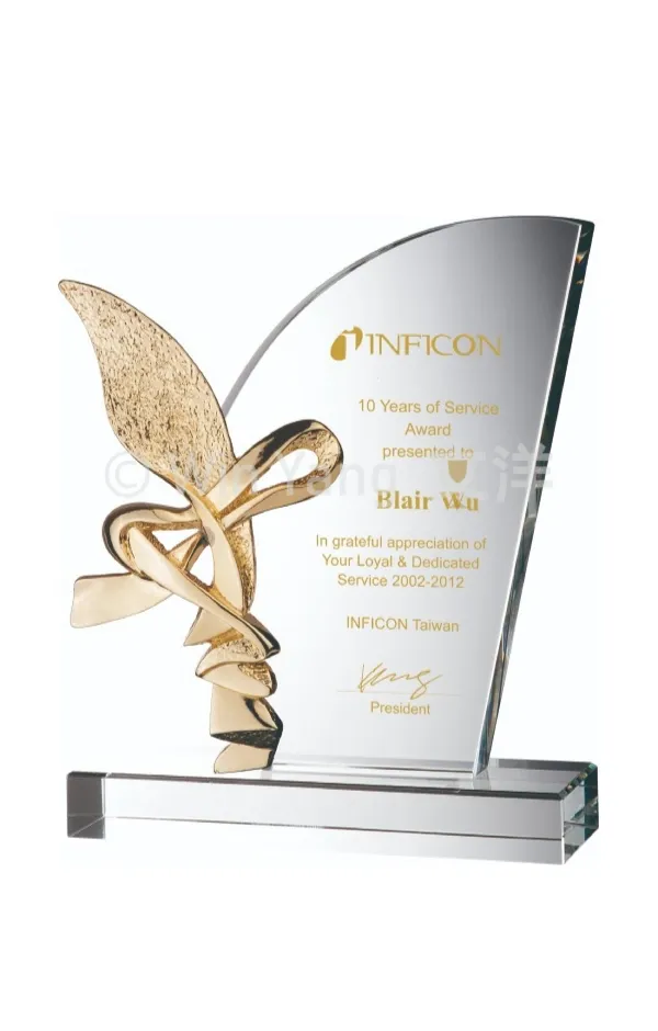 抽象金屬造型水晶獎牌 - 2026 文洋獎盃 抽象金屬造型水晶獎牌