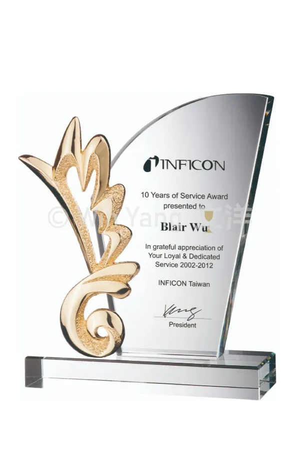 抽象金屬造型水晶獎牌 - 2026 文洋獎盃 抽象金屬造型水晶獎牌:圖片 3