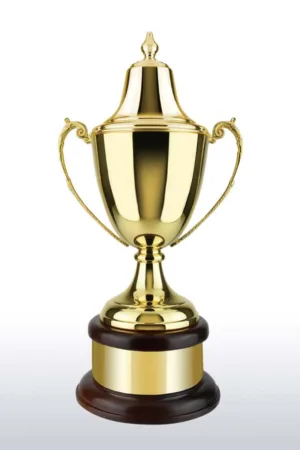 維耶拉獎盃 - 經典金色款
