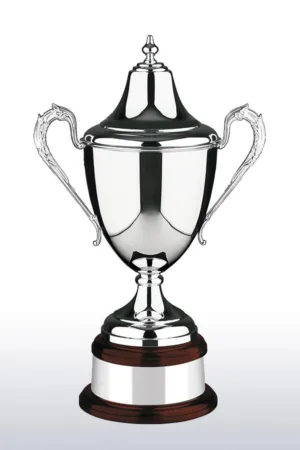 維耶拉獎盃 - 經典款