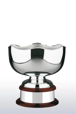 世界杯 - 波浪款