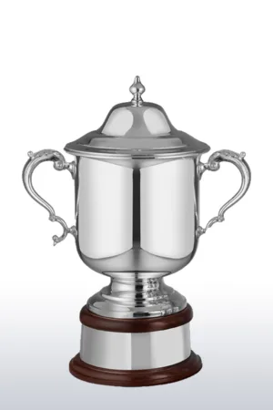 聯賽冠軍獎盃 - 經典款