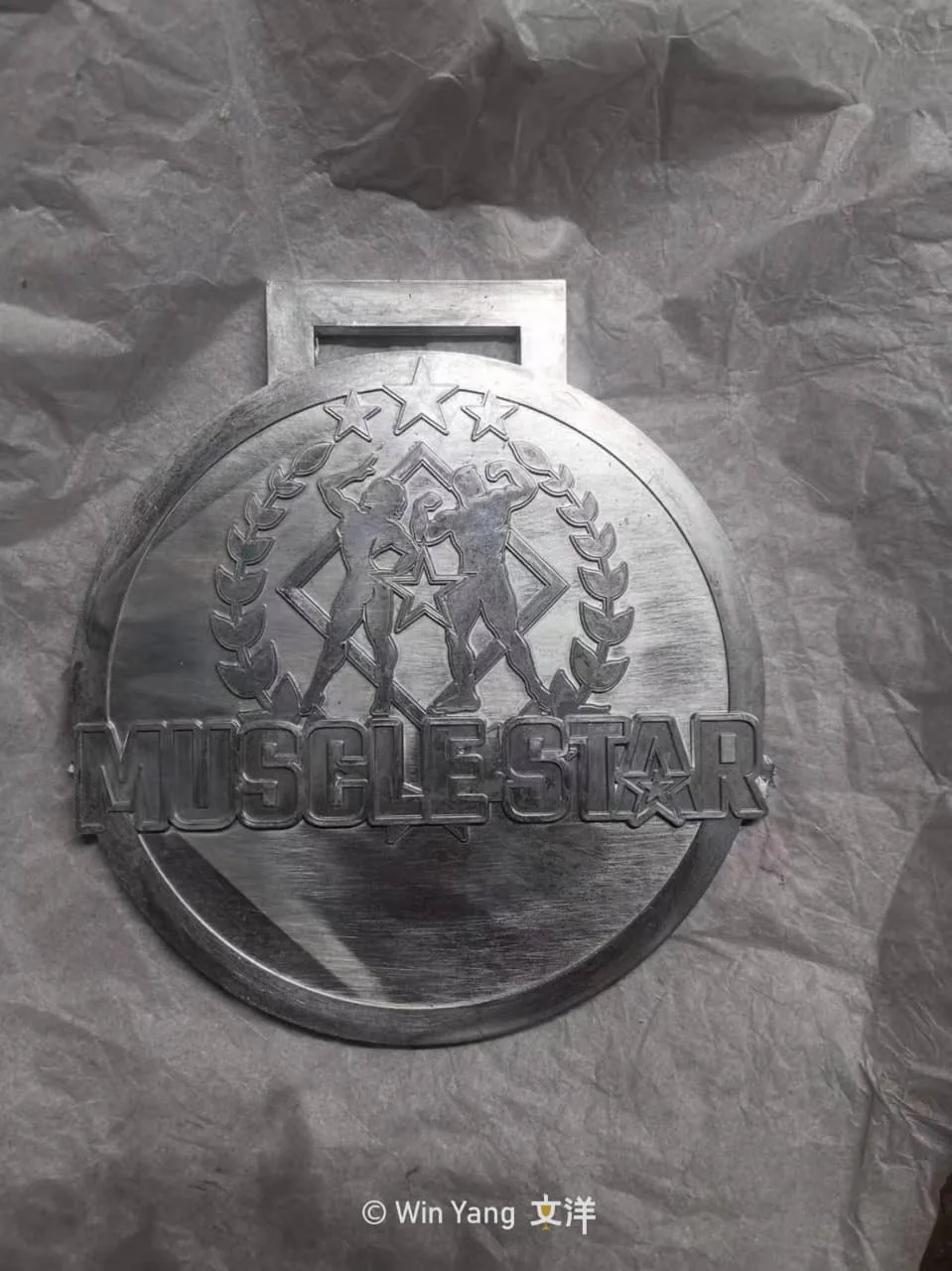 健美之星獎牌設計的模組